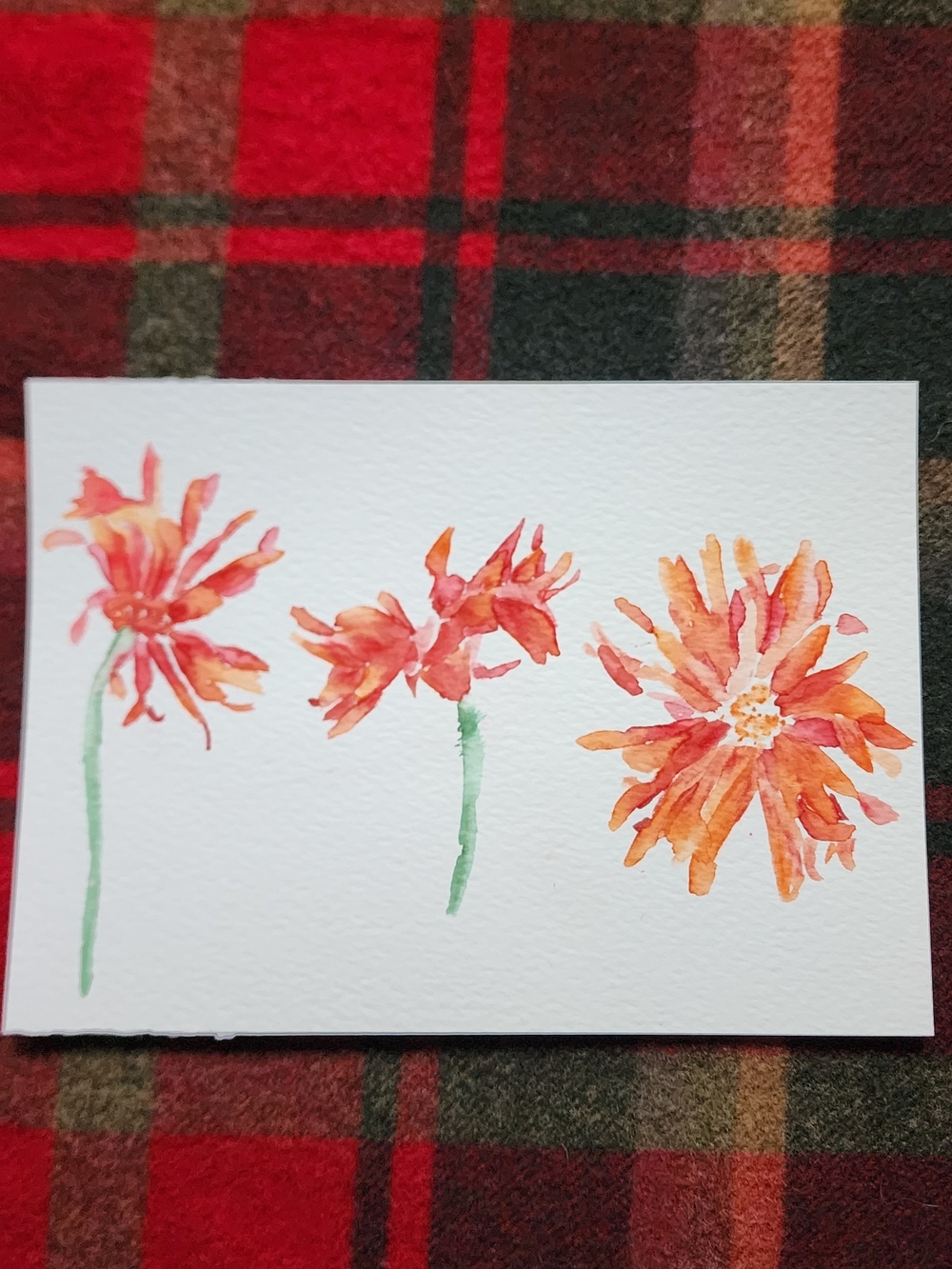 Original Watercolor Floral Art - Orange Blooms